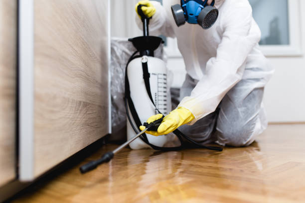 Best Local Pest Control Services  in Trainer, PA