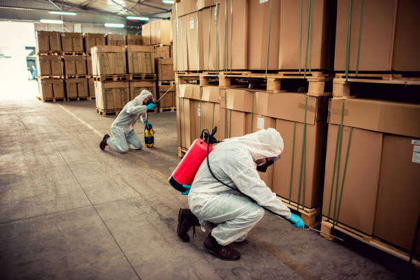 Best Pest Prevention Services  in Trainer, PA