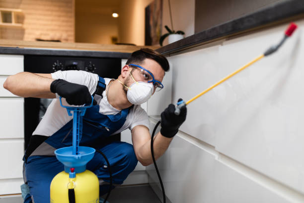 Insect Control in Trainer, PA