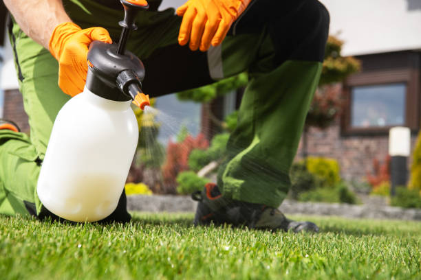 Best Pest Removal Services  in Trainer, PA