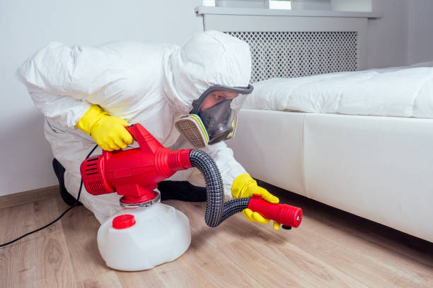 Best Affordable Pest Control Services  in Trainer, PA