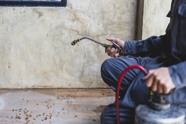 Best Local Pest Control Services  in Trainer, PA